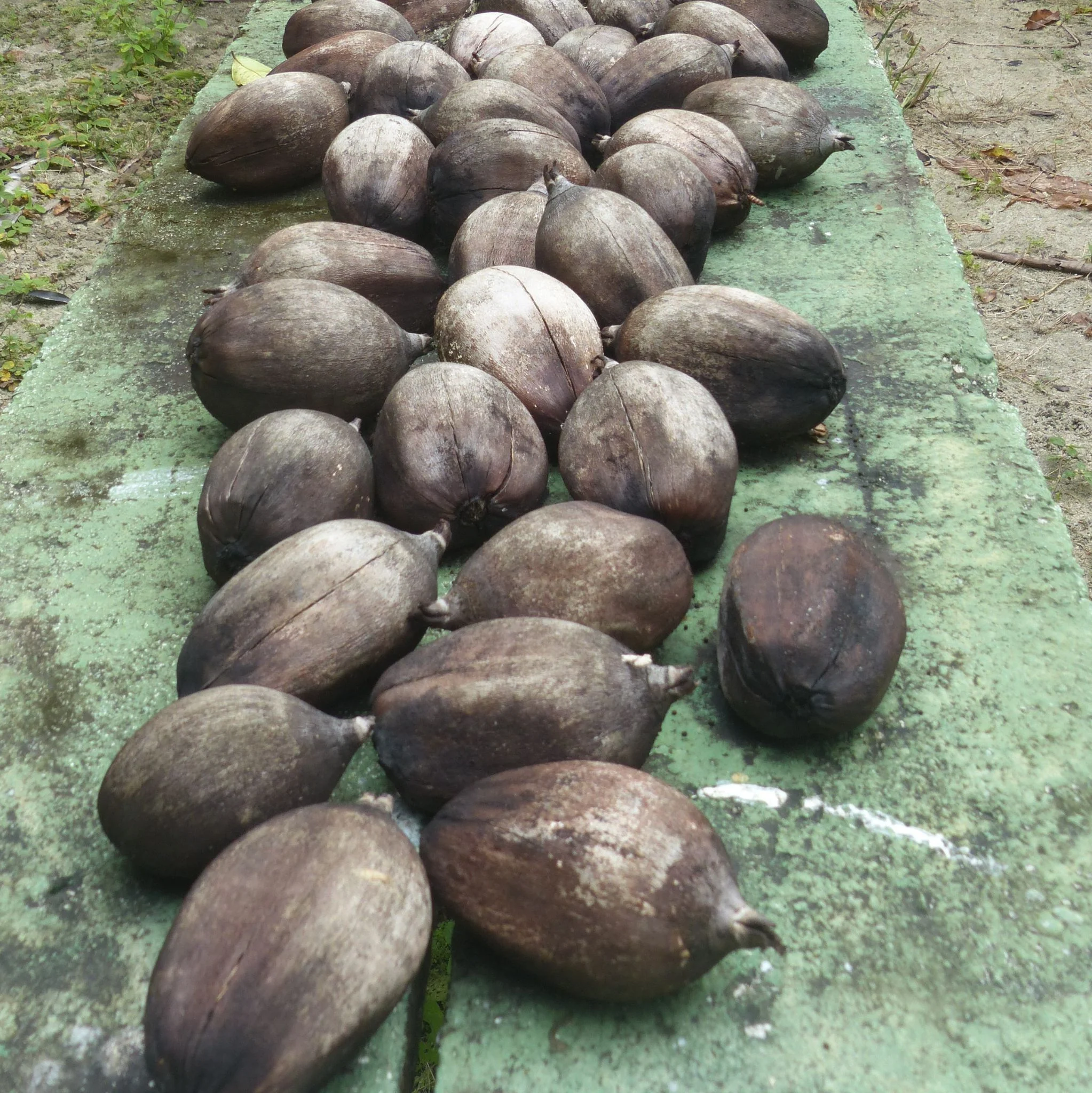 Produktbild 2